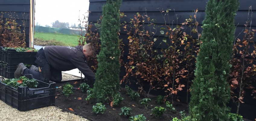 Plant seizoen begonnen